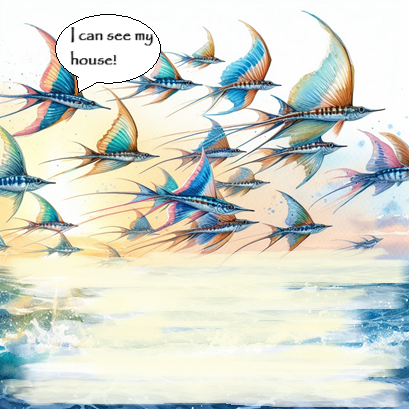 flying fish